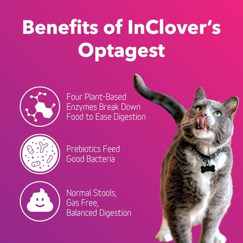 InClover Optagest Natural Digestive Aid (10.5 oz)