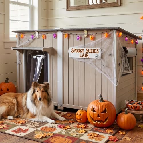 55" Insulated Dog House Outdoor for Large Dogs