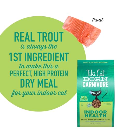 Tiki Cat Born Carnivore Dry Cat Food (6 Pound (Pack of 1))