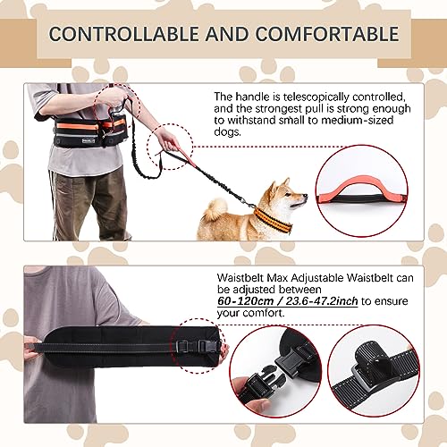 Hands Free Waist Leash with Pouch for Two Dogs (Orange)