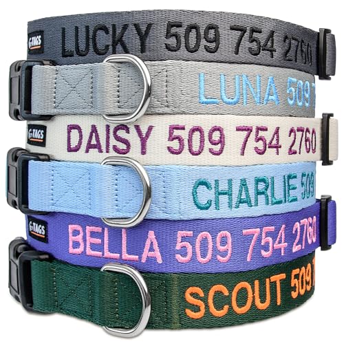 Personalized Dog Collar