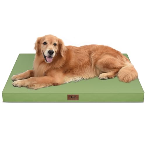 Waterproof Orthopedic Outdoor Dog Bed XL for Extra Large Dogs (Light Green / 44.0"L x 32.0"W x 3.5"Th)