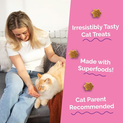 Crunchy Cat Treats (2.5 Ounce (Pack of 1) / Tuna & Pumpkin)