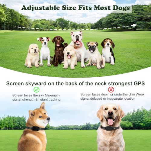 GPS Wireless Dog Collar Fence System & Training Collar