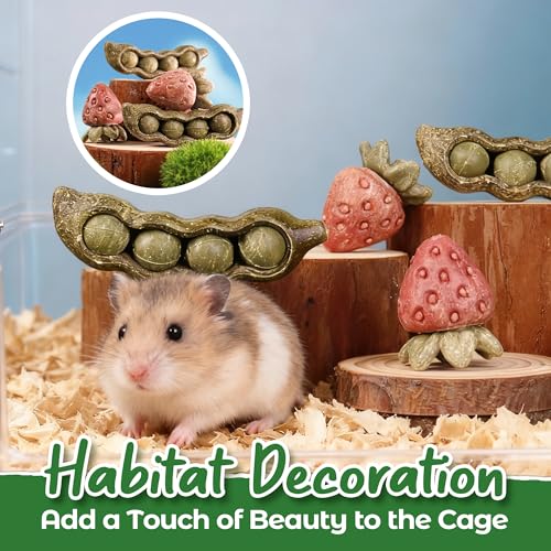4PCS Guinea Pig Toys (4PCS-Peapod and Stawberry)