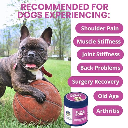 Pet Hip & Joint Chews for Dogs