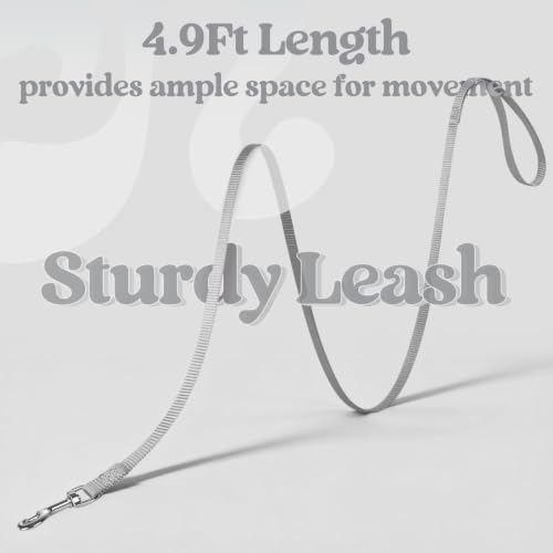Cat Harness and Leash Set (S / Grey)