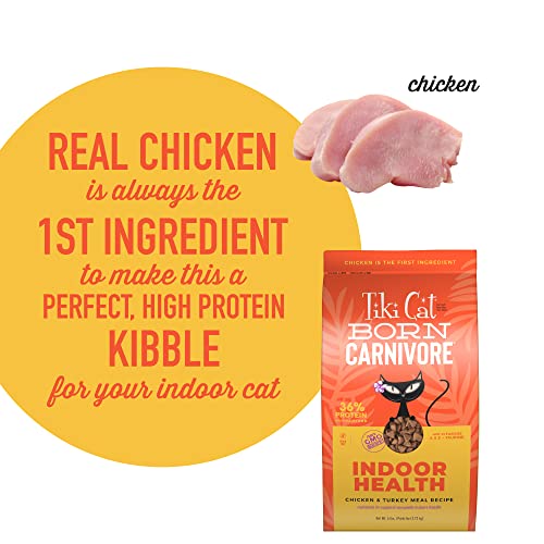 Tiki Cat Born Carnivore Indoor Health