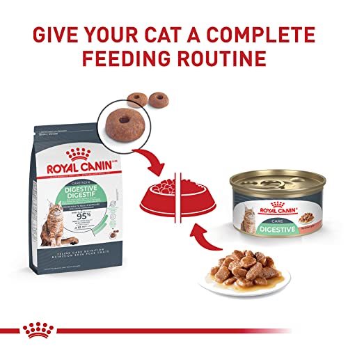 Feline Care Nutrition Digestive Care Adult Thin Slices in Gravy Cat Food (3 Ounce (Pack of 6))