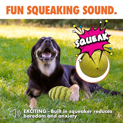 Max Fusion Spiro Football Dog Toy