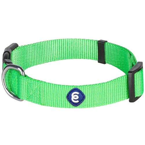 Essentials Neon Green Adjustable & Durable Large Dog Collar for Boys (Large / Neon Green)