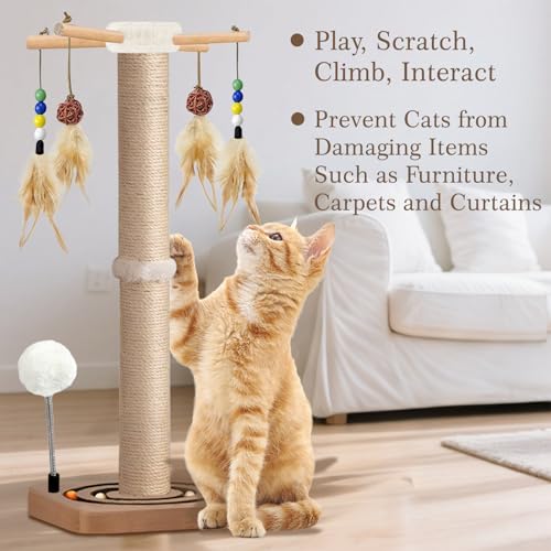 Tall Cat Scratching Post (33 Inches Tall)