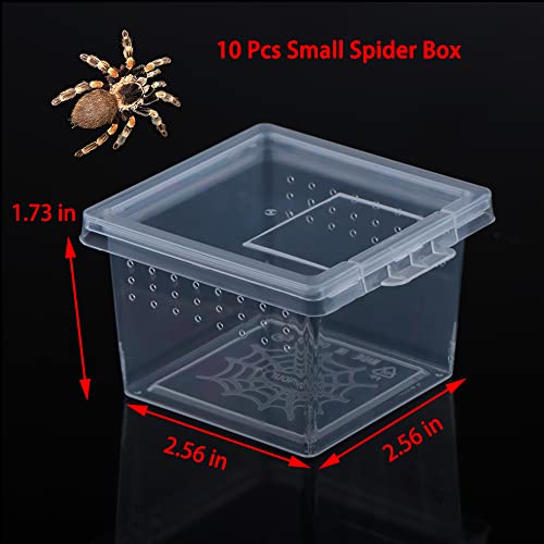 10 Pack Small Size Spider Terrariums Breeding Box Hatching Container Insect Scorpion Centipede Acrylic Breeding Box