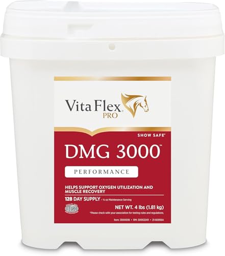 Pro DMG 3000 Horse DMG Concentrate