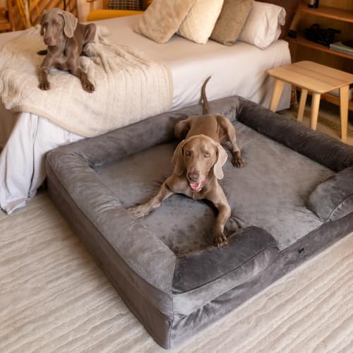 XXL Dog Bed Orthopedic Memory Cooling Foam (Grey - VE / XX-Large)