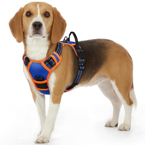 Dog Harness for Small Dogs (Small / Blue & Orange)