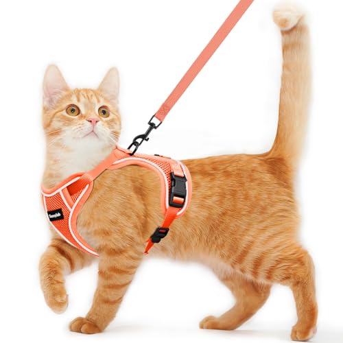 Cat Harness and Leash for Walking Escape Proof Soft Adjustable Cat Leash (Orange / S (7-12lb))