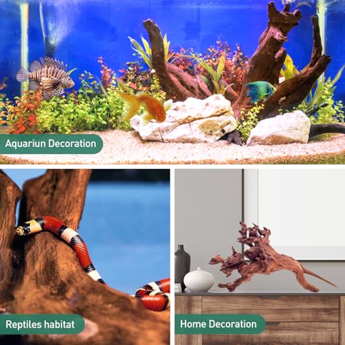 Natural Driftwood for Aquarium Decor (Mopani driftwood （10-14 inch pack of 2）)
