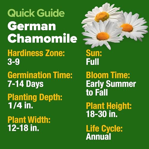 German Chamomile Seeds