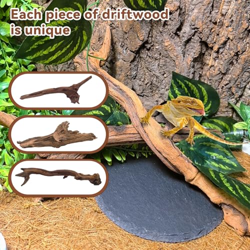 2PCS Snake Climbing Branches (2Pcs 10-12in Reptile Climbing Branches)