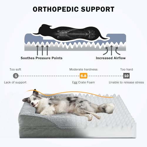 Orthopedic Dog Beds Large Sized (XL (42"x 32"x 7.5") / Light Grey)