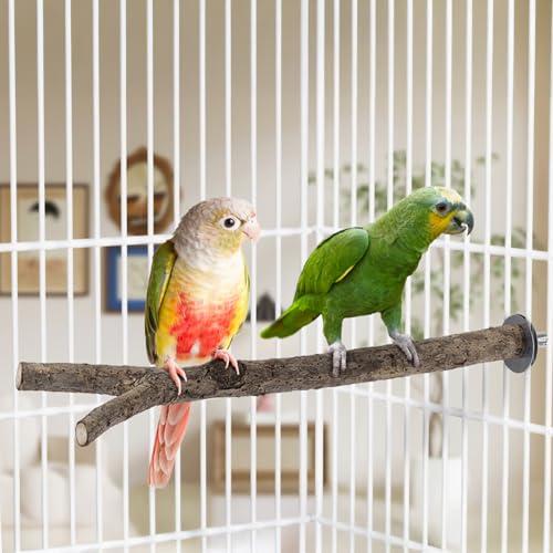 Natural Wooden Perches for Bird Cages (Natural Bark / 2 Pack)