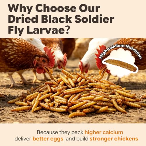 5lb Dried Black Soldier Fly Larvae for Chickens Hens High Protein Duck Food (5 Pound (Pack of 1))