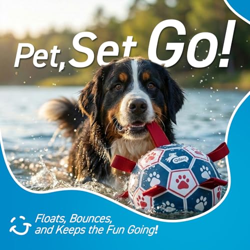 Large Outdoor Dog Toy (Blue-Red / Ultra Large Size 7 (10 Inch))
