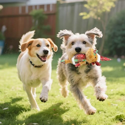Christmas Dog Toy Squeaky Interactive Dog Toys Indoor Outdoor Play (JM deer)