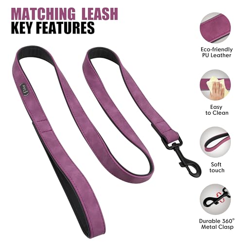 PU Leather Dog Collar and Leash Set (M: Neck 11-15", Width ¾" / Purple Set)