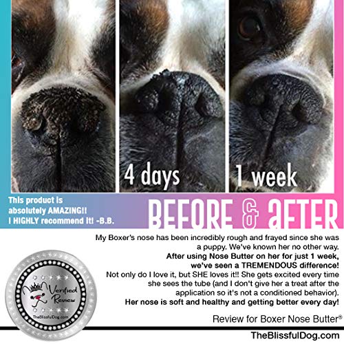 White Boxer Nose Butter for Dry (Boxer - White / 8 Ounce)