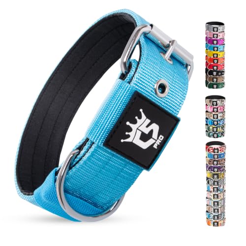 Heavy Duty Thick Dog Collar with Metal Buckle for Small Dogs (S – Fits Neck 12.6"-15.8" / Basic Blue)