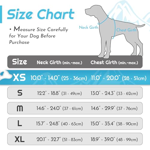 Dog Harness for Small Dogs (X-Small / Sky Blue)