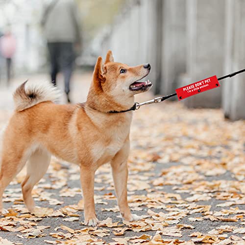 I'm a Little Anxious Red Dog Leash Sleeve