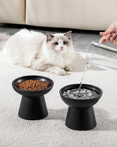 2 Pack Extra Wide Elevated Cat Bowls (Black)