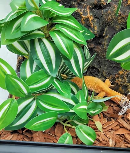Fake Reptile Plants for Terrarium (Zebrina Green)