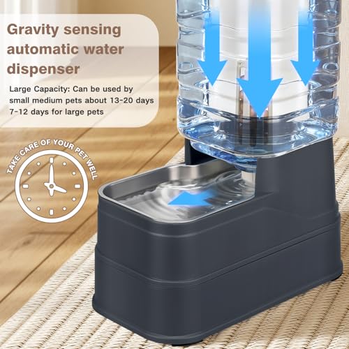 1.6 Gallon Pet Automatic Dog Water Dispenser Cat Gravity Waterer Feeder with Stainless Steel Bowl 8L Large Capacity Puppy Feeding Raised Bowls with Filter (Charcoal Gray / 6L(1.6 Gallon))