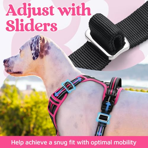 Dog Harness for Large (Black & Pink / Large)