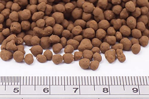 Controsoil Freshwater Aqua Soil Substrate for Fish (3 Liters (2.7 kg) / Brown - Normal)