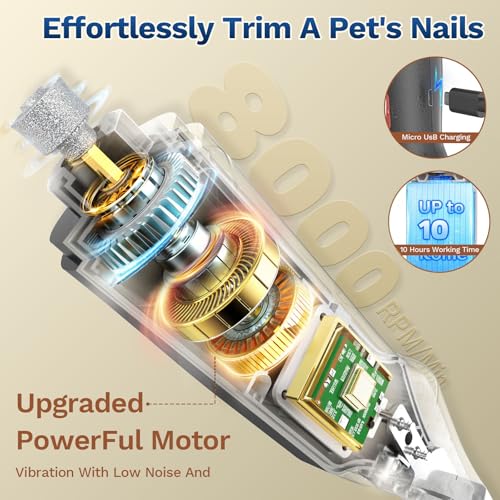2 in 1 Dog Nail Clippers & Cat Nail Clippers Trimmers for Large Medium Small Dogs Cats Claw Trimmer Quick Sensor and Safety Guard USB Rechargeable Dogs Nail Trimmer with Catcher & 2 LED Lights (Black)