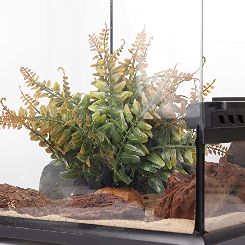Fall Colors Boston Fern (J-fake Fall Colors Boston Fern)