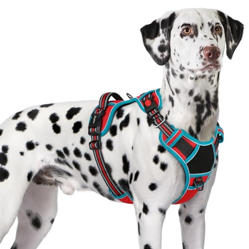 Dog Harness No Pull for Large Dogs (X-Large / Red & Teal)