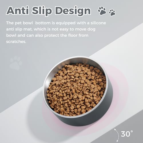Dog Bowl Stainless Steel Food and Water Bowl (40 oz / Deep Grey)