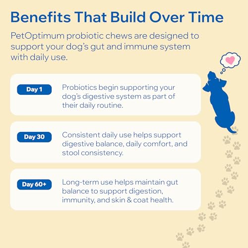 Dog Probiotics For Gut Health
