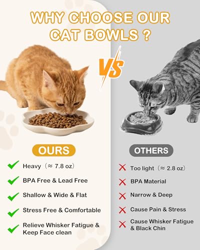 3 Pack Ceramic Cat Food Bowls
