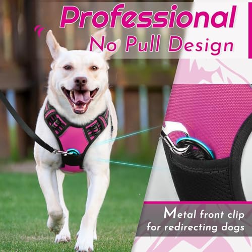 Dog Harness for Small Dogs (Small / Rose Red)