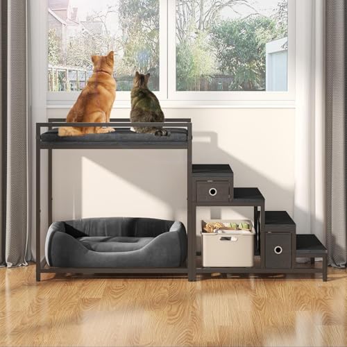Pet Bunk Bed with Removable Stairs and 2 Drawers (Black)
