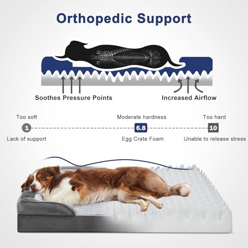 Orthopedic Small Dog Bed (28.0''l x 23.0''w x 6.5''th / Grey)