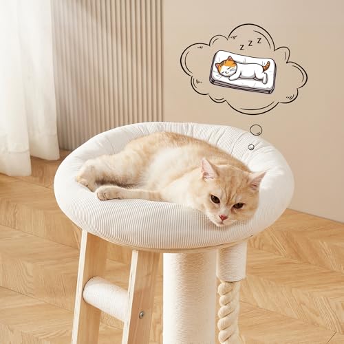 Modern Cat Tree Small Tower with Scratching Post for Indoor (with Ladder)