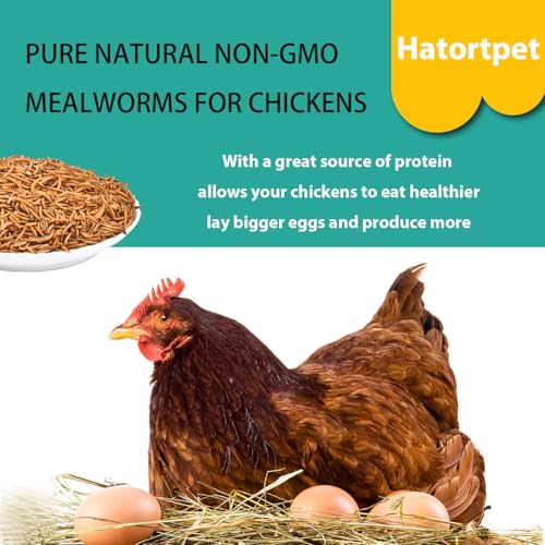 Dried Mealworms 5LB Pure Natural Chicken Treats for Laying Hens Wild Birds (5 Pound (Pack of 1) / Mealworms)